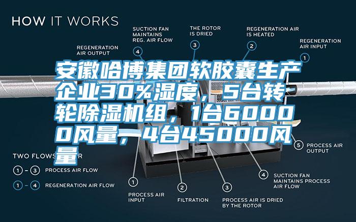 安徽哈博集團(tuán)軟膠囊生產(chǎn)企業(yè)30%濕度，5臺轉(zhuǎn)輪除濕機(jī)組現場，1臺60000風(fēng)量高端化，4臺45000風(fēng)量