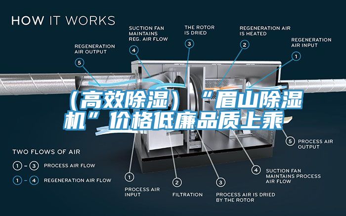 （高效除濕）“眉山除濕機(jī)”價(jià)格低廉品質(zhì)上乘